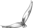 braid2